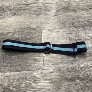 Target Boys Web Belt – Navy / Light Blue Stripe